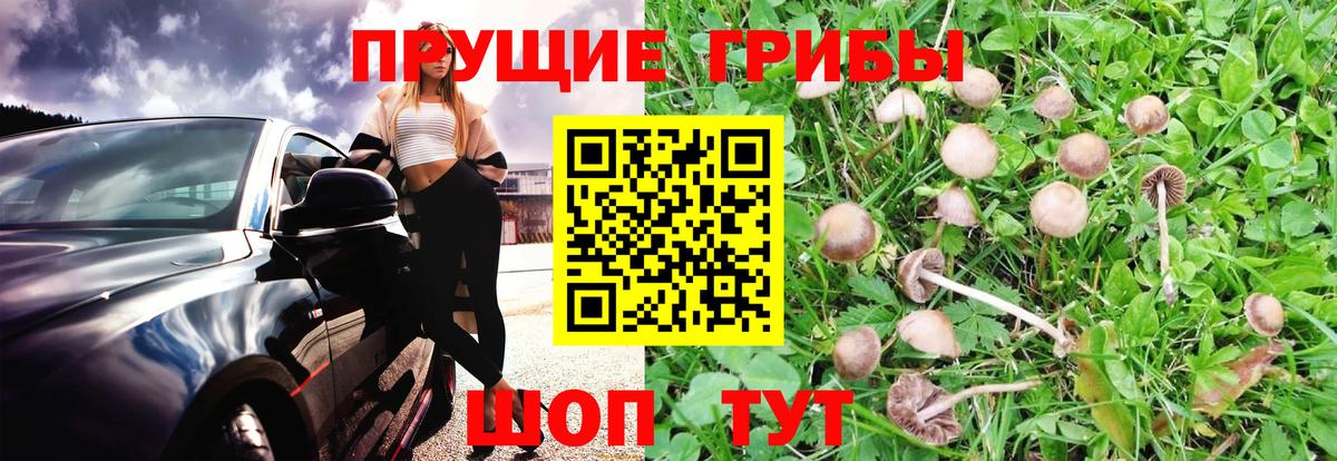 Жигулёвск  Галлюциногенные грибы Magic Shrooms  Вход с VPN 